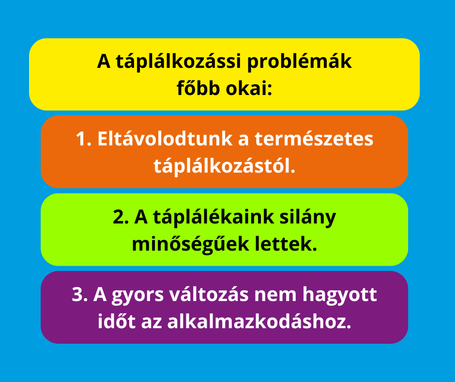 A táplálkozási problémák főbb okai Dr. Dog Vitamin prémium kutyavitamin jutalomfalat vitaminfalat multivitamin vitaminok ásványi anyagok nyomelemek ízületvédő emésztést optimalizáló allergia tápanyagsűrűség